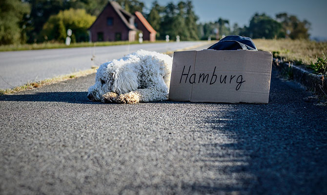Lugares para viajar con perro: Hamburgo